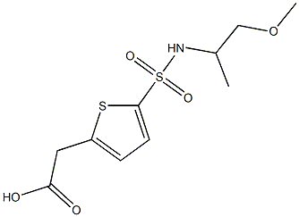 2-{5-[(1-methoxypropan-2-yl)sulfamoyl]thiophen-2-yl}acetic acid 结构式