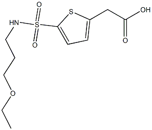 2-{5-[(3-ethoxypropyl)sulfamoyl]thiophen-2-yl}acetic acid 结构式