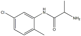 2-amino-N-(5-chloro-2-methylphenyl)propanamide 结构式