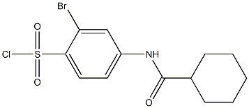 2-bromo-4-cyclohexaneamidobenzene-1-sulfonyl chloride 结构式