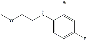 2-bromo-4-fluoro-N-(2-methoxyethyl)aniline 结构式