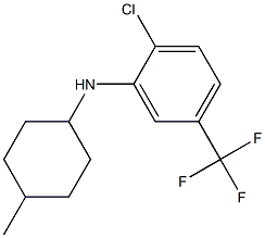 2-chloro-N-(4-methylcyclohexyl)-5-(trifluoromethyl)aniline 结构式