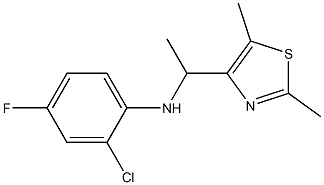 2-chloro-N-[1-(2,5-dimethyl-1,3-thiazol-4-yl)ethyl]-4-fluoroaniline 结构式