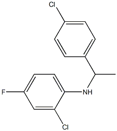 2-chloro-N-[1-(4-chlorophenyl)ethyl]-4-fluoroaniline 结构式