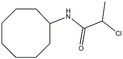 2-chloro-N-cyclooctylpropanamide 结构式