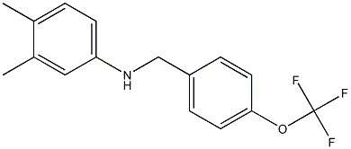 3,4-dimethyl-N-{[4-(trifluoromethoxy)phenyl]methyl}aniline 结构式