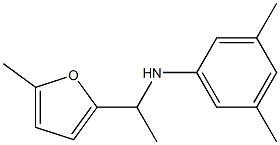 3,5-dimethyl-N-[1-(5-methylfuran-2-yl)ethyl]aniline 结构式