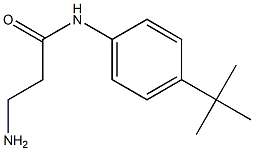 3-amino-N-(4-tert-butylphenyl)propanamide 结构式