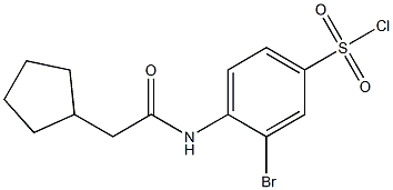 3-bromo-4-(2-cyclopentylacetamido)benzene-1-sulfonyl chloride 结构式