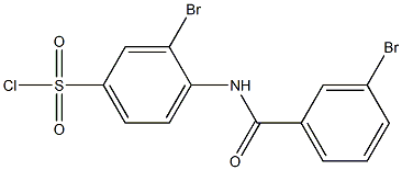 3-bromo-4-[(3-bromobenzene)amido]benzene-1-sulfonyl chloride 结构式