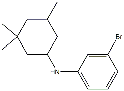 3-bromo-N-(3,3,5-trimethylcyclohexyl)aniline 结构式