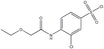 3-chloro-4-(2-ethoxyacetamido)benzene-1-sulfonyl chloride 结构式