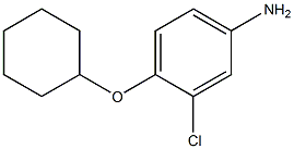 3-chloro-4-(cyclohexyloxy)aniline 结构式