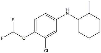 3-chloro-4-(difluoromethoxy)-N-(2-methylcyclohexyl)aniline 结构式