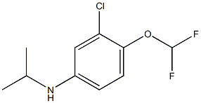 3-chloro-4-(difluoromethoxy)-N-(propan-2-yl)aniline 结构式