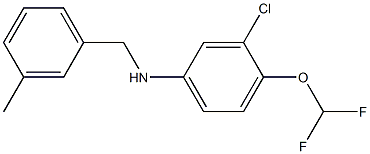 3-chloro-4-(difluoromethoxy)-N-[(3-methylphenyl)methyl]aniline 结构式