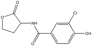 3-chloro-4-hydroxy-N-(2-oxooxolan-3-yl)benzamide 结构式