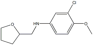 3-chloro-4-methoxy-N-(oxolan-2-ylmethyl)aniline 结构式