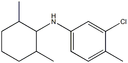 3-chloro-N-(2,6-dimethylcyclohexyl)-4-methylaniline 结构式