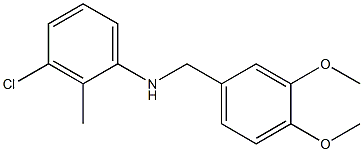 3-chloro-N-[(3,4-dimethoxyphenyl)methyl]-2-methylaniline 结构式