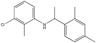 3-chloro-N-[1-(2,4-dimethylphenyl)ethyl]-2-methylaniline 结构式