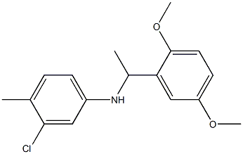 3-chloro-N-[1-(2,5-dimethoxyphenyl)ethyl]-4-methylaniline 结构式