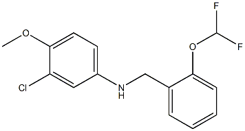 3-chloro-N-{[2-(difluoromethoxy)phenyl]methyl}-4-methoxyaniline 结构式