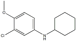 3-chloro-N-cyclohexyl-4-methoxyaniline 结构式