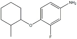 3-fluoro-4-[(2-methylcyclohexyl)oxy]aniline 结构式