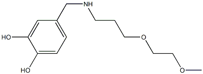 4-({[3-(2-methoxyethoxy)propyl]amino}methyl)benzene-1,2-diol 结构式