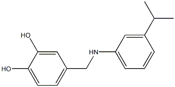 4-({[3-(propan-2-yl)phenyl]amino}methyl)benzene-1,2-diol 结构式