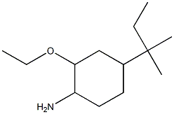 4-(1,1-dimethylpropyl)-2-ethoxycyclohexanamine 结构式