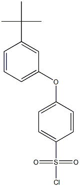 4-(3-tert-butylphenoxy)benzene-1-sulfonyl chloride 结构式