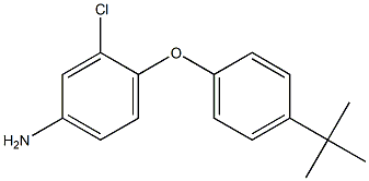 4-(4-tert-butylphenoxy)-3-chloroaniline 结构式