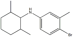 4-bromo-N-(2,6-dimethylcyclohexyl)-3-methylaniline 结构式