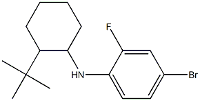 4-bromo-N-(2-tert-butylcyclohexyl)-2-fluoroaniline 结构式