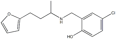 4-chloro-2-({[4-(furan-2-yl)butan-2-yl]amino}methyl)phenol 结构式