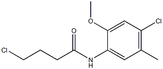 4-chloro-N-(4-chloro-2-methoxy-5-methylphenyl)butanamide 结构式