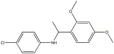 4-chloro-N-[1-(2,4-dimethoxyphenyl)ethyl]aniline 结构式