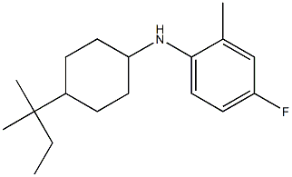 4-fluoro-2-methyl-N-[4-(2-methylbutan-2-yl)cyclohexyl]aniline 结构式