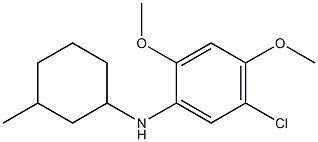 5-chloro-2,4-dimethoxy-N-(3-methylcyclohexyl)aniline 结构式