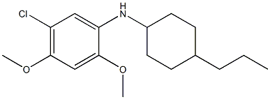 5-chloro-2,4-dimethoxy-N-(4-propylcyclohexyl)aniline 结构式