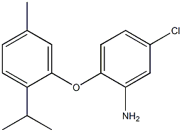 5-chloro-2-[5-methyl-2-(propan-2-yl)phenoxy]aniline 结构式