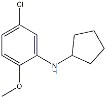 5-chloro-N-cyclopentyl-2-methoxyaniline 结构式