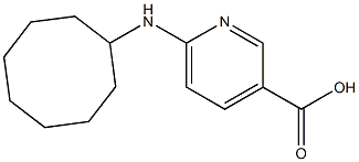 6-(cyclooctylamino)pyridine-3-carboxylic acid 结构式