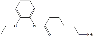 6-amino-N-(2-ethoxyphenyl)hexanamide 结构式