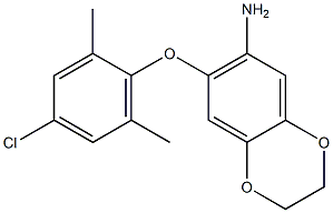 7-(4-chloro-2,6-dimethylphenoxy)-2,3-dihydro-1,4-benzodioxin-6-amine 结构式