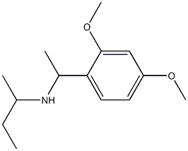 butan-2-yl[1-(2,4-dimethoxyphenyl)ethyl]amine 结构式