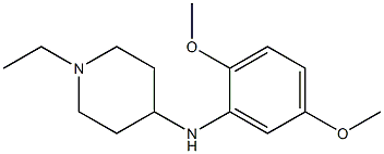 N-(2,5-dimethoxyphenyl)-1-ethylpiperidin-4-amine 结构式