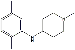 N-(2,5-dimethylphenyl)-1-methylpiperidin-4-amine 结构式